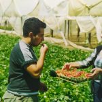 WhatsApp Image 2021-06-15 at 12.28.52 PM (3)