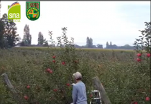 ¡Cosechando Aprendizaje!