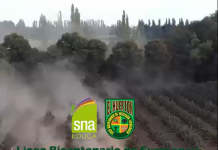 Conectados con la Tierra